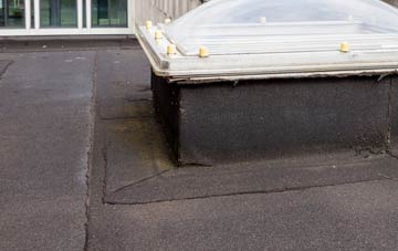 disadvantages of Rampisham flat roofs