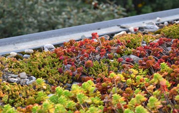 the cost of Rampisham green roof installation