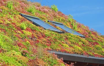 Rampisham living roof systems