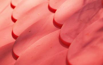 Rampisham plastic roof costs