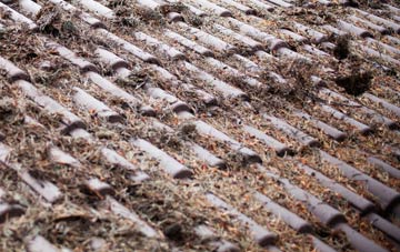 Rampisham roof cleaning companies