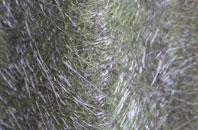 Rampisham fibreglass roof work